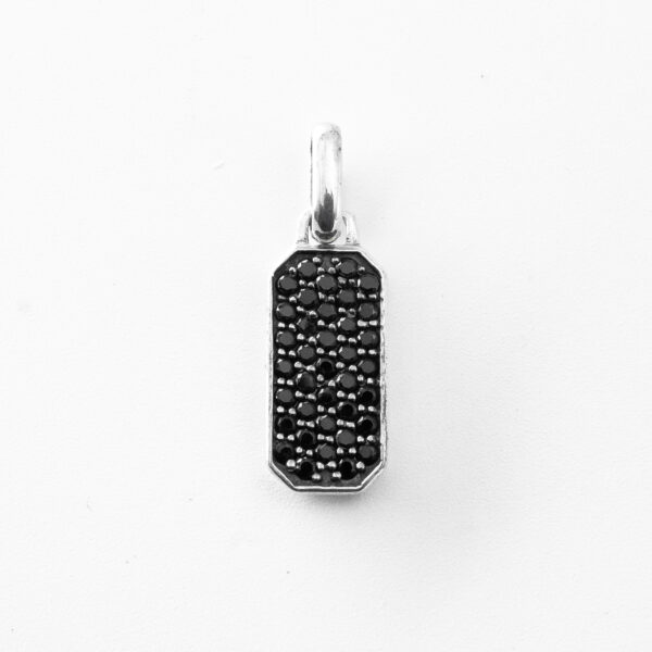 raven amulet black 2